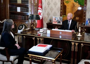 سعيّد: ”كيف نفسر توريد أكل للحيوانات ومواد التجميل والعطور الأجنبية في حين أن المواطنين يشكون الحد الأدنى من ضروريات الحياة”