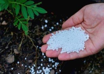 اتحاد الفلاحة يؤكد تسجيل نقص فادح للأسمدة