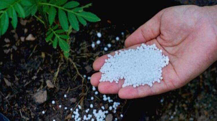 اتحاد الفلاحة يؤكد تسجيل نقص فادح للأسمدة