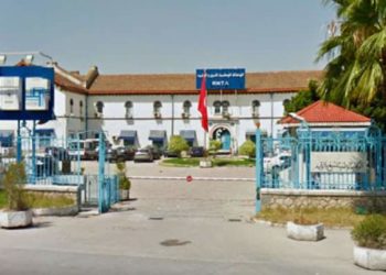 مدير عام وكالة التبغ والوقيد: لا نيّة للتفويت في الوكالة.. وهناك بوادر للانفراج