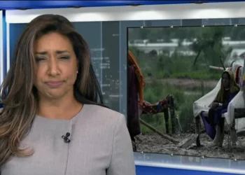 المذيعة الكندية فرح ناصر تضطر لابتلاع ذبابة على الهواء أثناء نشرة الأخبار (فيديو)