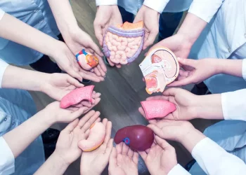 تونس: 1649 مريض كلى في حاجة لعملية زرع