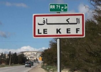 خلال يوم: 17 شخصا يقدمون ترشحاتهم للانتخابات التشريعية بالكاف