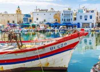 غدا: تعليق نشاط الصيد البحري بولايتي أريانة وبنزرت