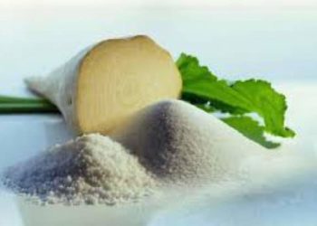 بنك التضامن يخصص 5 مليون دينار لتمويل زراعة اللفت السكري بـ3 ولايات