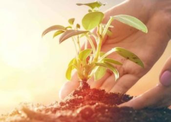 حوافز ومنح للاستثمارات الفلاحية المستدامة