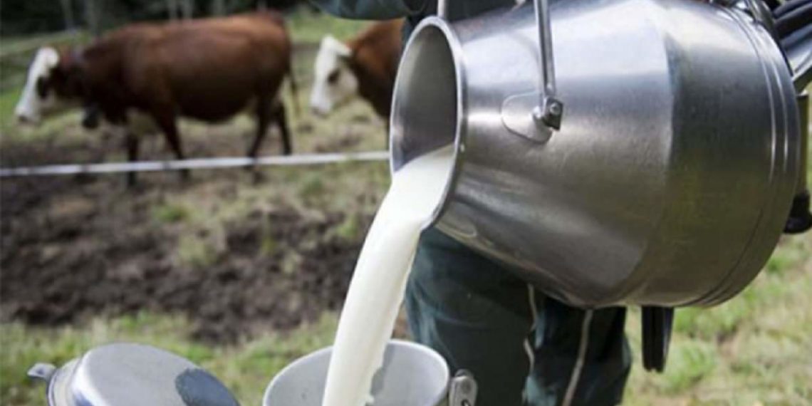 نقص بـ300 ألف لتر في انتاج الحليب سبب اضطراب التزويد