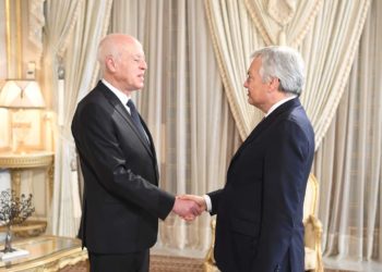 في لقاء جمعه بالمفوض الأوروبي للعدل: سعيّد يوضح حقيقة الأوضاع في تونس