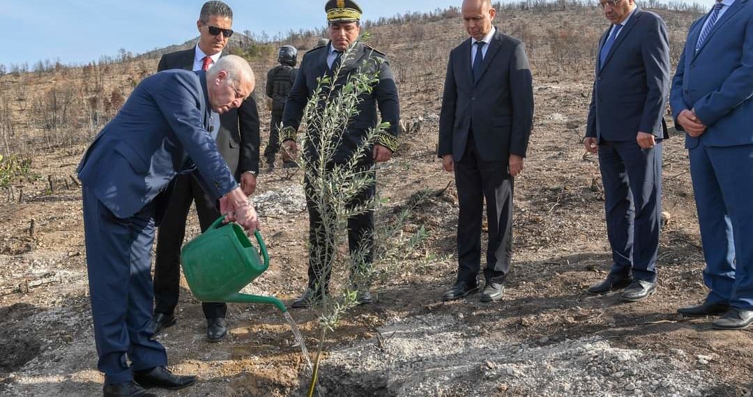 سعيّد:”تونس ستبقى خضراء وستزداد اخضرارا مهما فعل من أشعل الحرائق قصدا وستظل قوية بمؤسساتها”