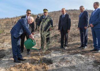 سعيّد:”تونس ستبقى خضراء وستزداد اخضرارا مهما فعل من أشعل الحرائق قصدا وستظل قوية بمؤسساتها”