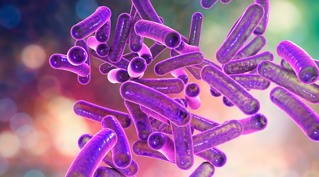 جرثومة ”الشيغيلا” تصيب عددا من الأطفال في تونس