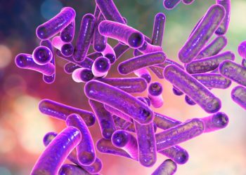 جرثومة ”الشيغيلا” تصيب عددا من الأطفال في تونس