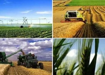 اتحاد الفلاحة يقترح إجراءات لإنقاذ المنظومات الحيوانية