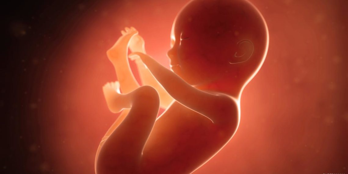 بنزرت: فتح تحقيق في حادثة العثور أجنة مدفونة في أصيص فوق سطح عيادة طبية