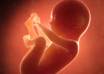 بنزرت: فتح تحقيق في حادثة العثور أجنة مدفونة في أصيص فوق سطح عيادة طبية