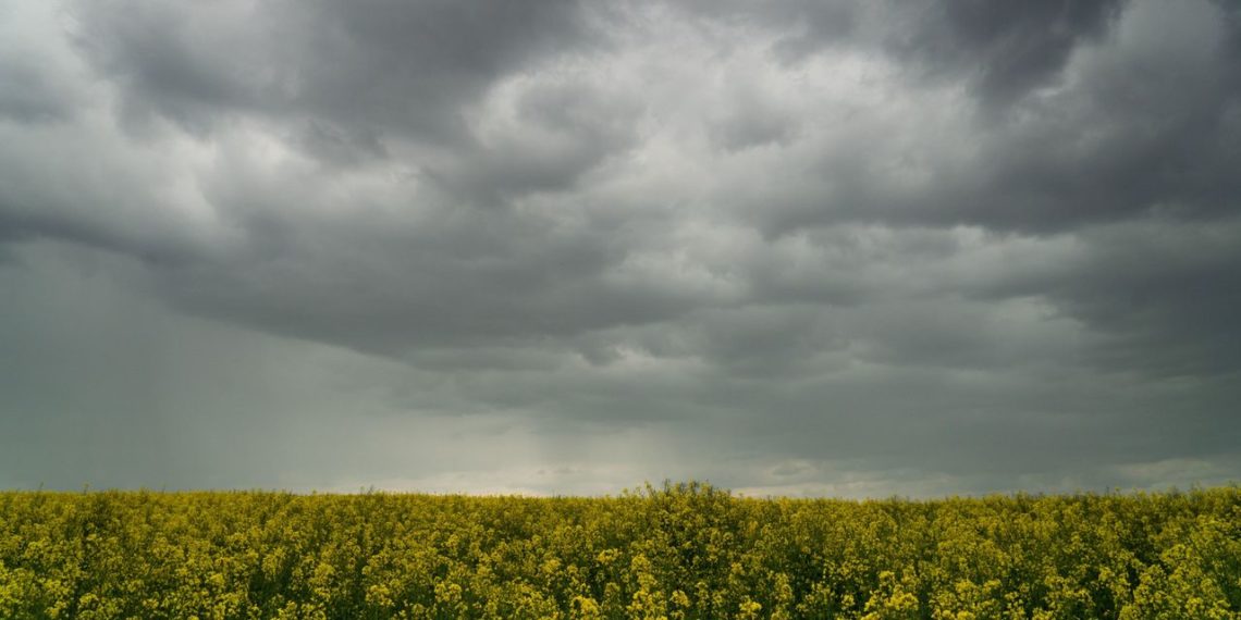 طقس السبت 3 ديسمبر 2022