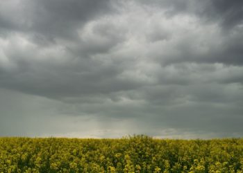 طقس السبت 3 ديسمبر 2022