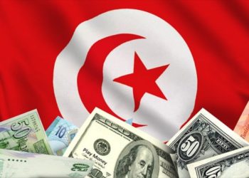 تطور الاستثمارات الدولية المتدفقة على تونس