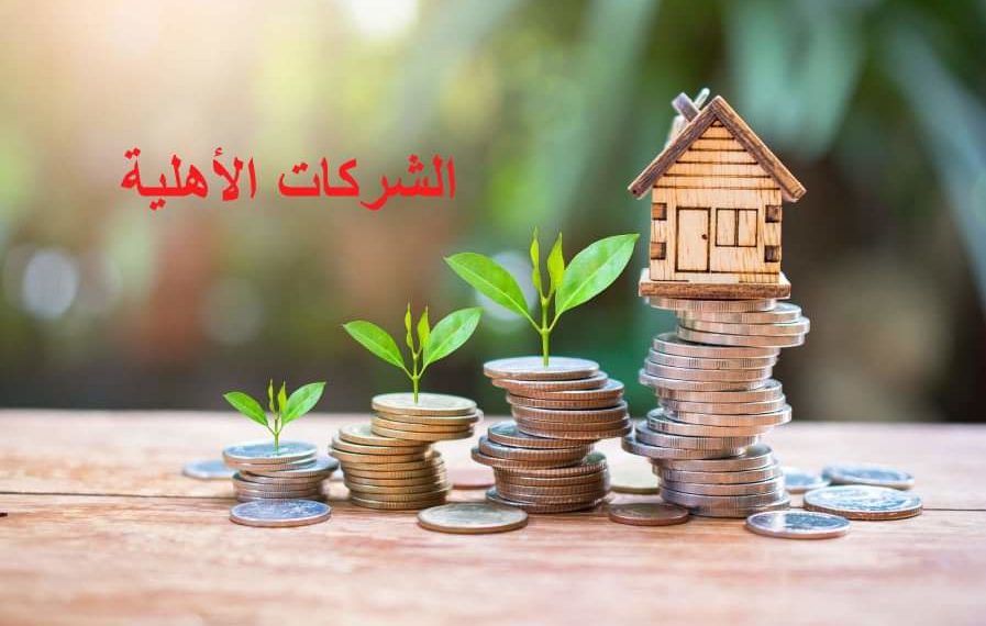 مليون دينار لمشاريع الاقتصاد التضامني والشركات الأهلية