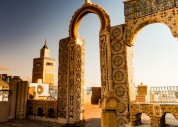 من الثقافة إلى السخافة