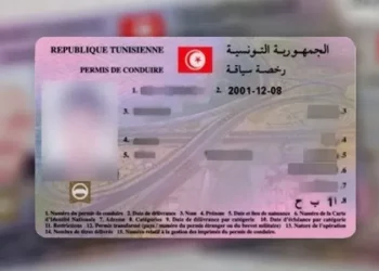 رخصة سياقة جديدة للتونسيين بداية من هذا التاريخ