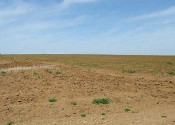 سليانة: استرجاع عقار  فلاحي دولي