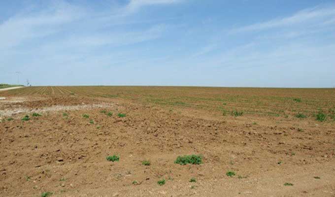 سليانة: استرجاع عقار فلاحي دولي