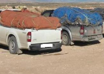 الحرس الديواني بمدنين يسجّل إرتفاعا في مداخيل مكافحة التهريب