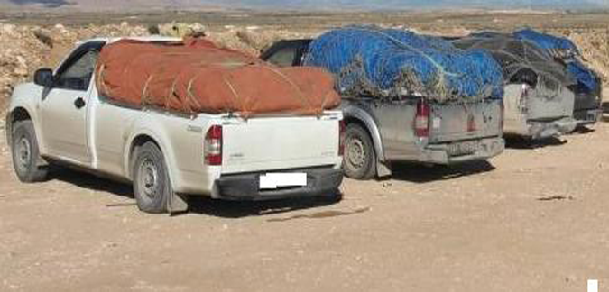 الحرس الديواني بمدنين يسجّل إرتفاعا في مداخيل مكافحة التهريب