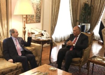 وزير خارجية سوريا يزور القاهرة للمرة الأولى منذ 12 عاما