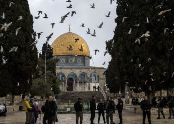 اعتقالات فلسطنيين اثر اشتباكات مسلحة مع الاحتلال الإسرائيلي خلال اقتحام مخيم جنين