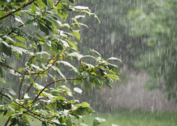 طقس اليوم: تواصل الأمطار والبحر شديد الاضطراب