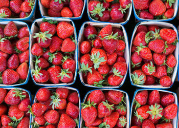 شركة أسواق الجملة: “بيع الفراولة يتم حصريا لتجار التفصيل المتحصلين على باتيندة”