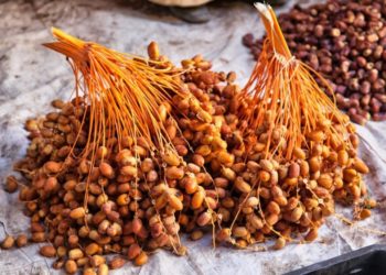  تونس المنتج العاشر للتمور في العالم