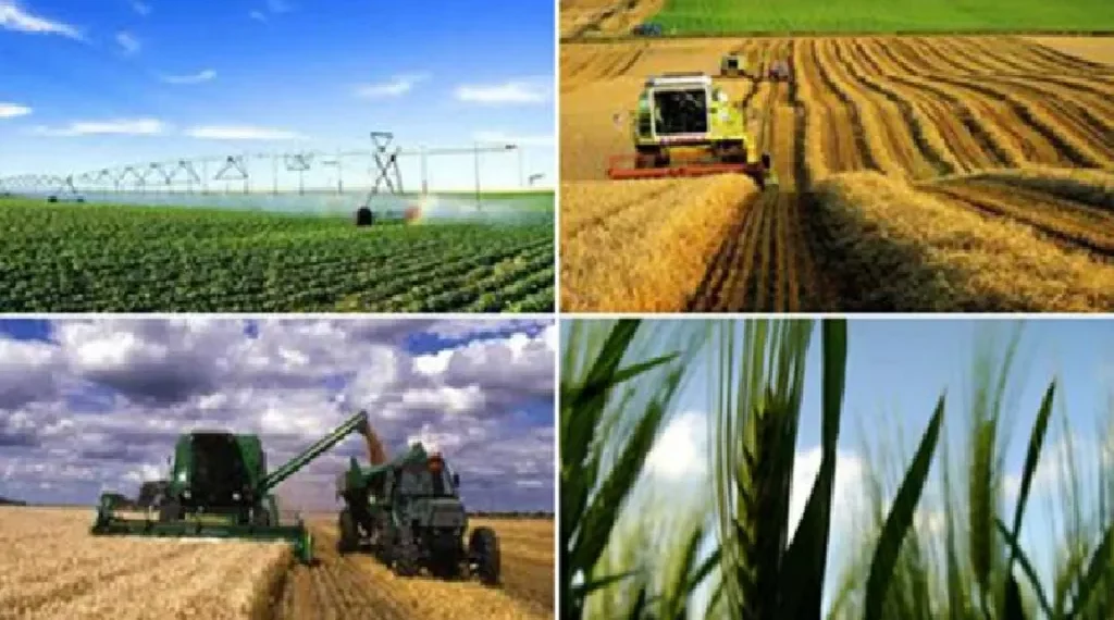 وكالة النهوض بالاستثمارات الفلاحية تصادق على عمليتي استثمار