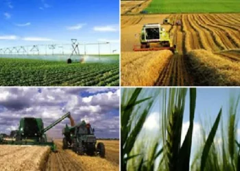 وكالة النهوض بالاستثمارات الفلاحية تصادق على عمليتي استثمار