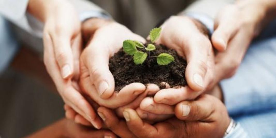 إشارات أحمد الحمروني:الكلمة الطيّبة