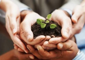 إشارات أحمد الحمروني:الكلمة الطيّبة