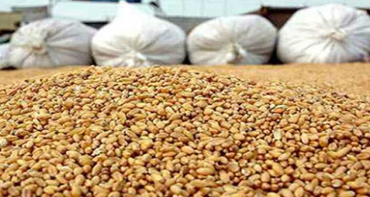 إقرار منحة زيادة بـ10 دنانير في قنطار الحبوب