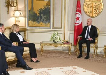 سعيد خلال لقائه بوزيري داخلية ألمانيا وفرنسا: “تونس لن تقبل بأن تكون حارسة لحدود أي دولة كما لن تقبل بتوطين المهاجرين”