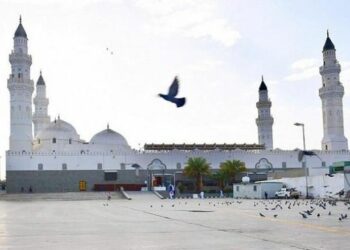 تونس تجدد رفضها للأعمال المستفزة لمشاعر المسلمين والمس من المقدسات