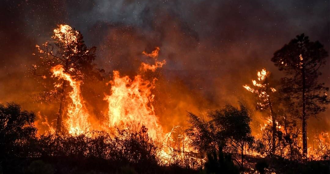 تونس-سلسلة الحرائق: السيطرة على جزء منها وتدخل إسباني لمعاضدة جهود تونس في إخمادها