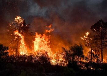 تونس-سلسلة الحرائق: السيطرة على جزء منها وتدخل إسباني لمعاضدة جهود تونس في إخمادها