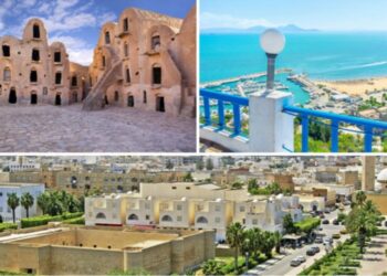 لماذا لا تكون هذه الصائفة فرصة للوقوف عند أسباب فشل الانتخابات التشريعية بالخارج؟ وتدارك الاخلالات على مستوى الهيئات الفرعية للانتخابات وحسن التصرف في الموارد البشرية!!