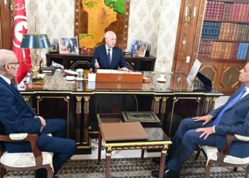 سعيّد: “يجب وضع حدّ لانقطاع الماء والكهرباء في أسرع وقت والانقطاع لا يمكن أن يُبرر بعمليات صيانة روتينية كان يمكن القيام بها قبل الصيف “