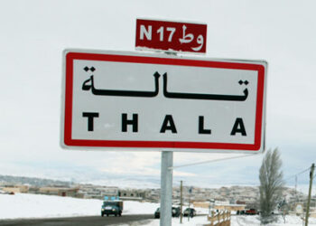 تالة: شركة أهلية لتثمين التين الشوكي بتمويل من وزارة المرأة