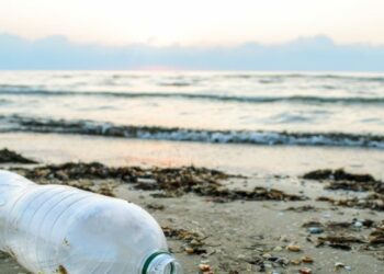 الصندوق العالمي للطبيعة فرع تونس يطلق مبادرة “تبنى شاطئ” لمكافحة التلوث البلاستيكي