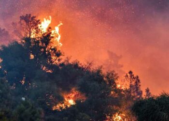 آخرها حريق بجبل النحلي: اندلاع 11 حريقا منذ أمس