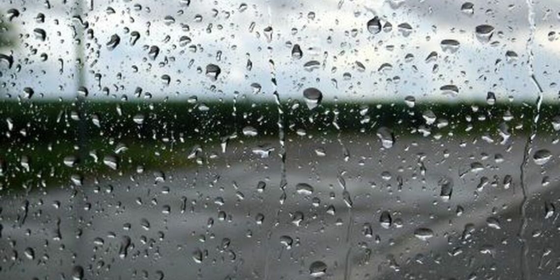 نزول الغيث النافع بكميات هامّة بتطاوين