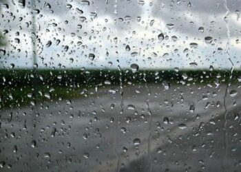 نزول الغيث النافع بكميات هامّة بتطاوين